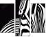 44412640