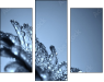 45608102