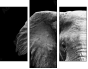 46583459