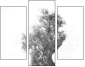 47020348