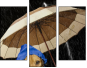 49306047