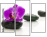 49566256