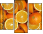 49786536