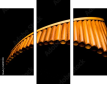 50197019