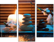 50934171