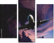 51192902