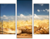 52793015