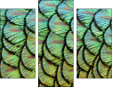 53512479