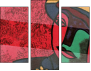 53800770