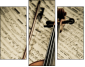 54506799