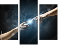 55886651