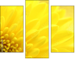 57915870