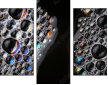 60098893