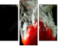 60316396