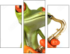 61064251