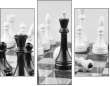 64265081