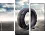 65476081