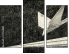 70764881