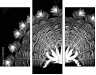 72971225