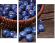 79175349