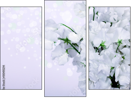 Beautiful Lily Flowers Border - Obraz trzyczęściowy, Tryptyk