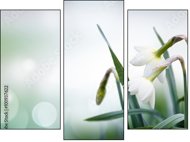 abstract spring background - Obraz trzyczęściowy, Tryptyk