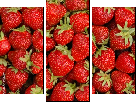 Strawberry fields – na zawsze truskawki
 - Obraz trzyczęściowy, Tryptyk
