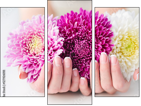 Woman cupped hands with beautiful French manicure holding pink and white flowers - Obraz trzyczęściowy, Tryptyk