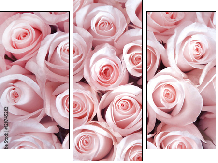 Poranna rosa i woda różana – klasyczne piękno kwiatów
 - Obraz trzyczęściowy, Tryptyk