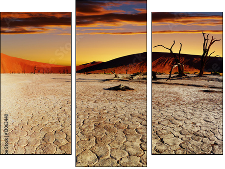 Afrykańska susza – gorąca refleksja
 - Obraz trzyczęściowy, Tryptyk