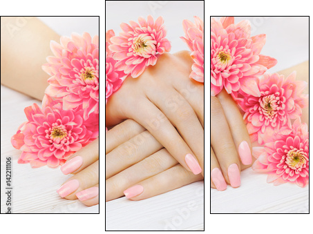 pink manicure with chrysanthemum flowers. spa - Obraz trzyczęściowy, Tryptyk