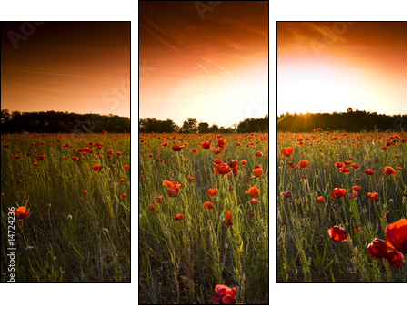 Makowe pole – łąka o zachodzie słońca
 - Obraz trzyczęściowy, Tryptyk