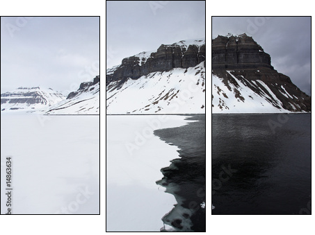 Spitzbergen  - Obraz trzyczęściowy, Tryptyk