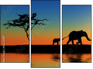 Rodzina słoni w promieniach słońca
 - Obraz trzyczęściowy, Tryptyk