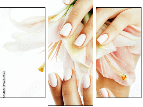 beauty delicate hands with manicure holding flower lily close up isolated on white - Obraz trzyczęściowy, Tryptyk