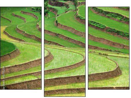 Ogrody świata – zielone tarasy
 - Obraz trzyczęściowy, Tryptyk
