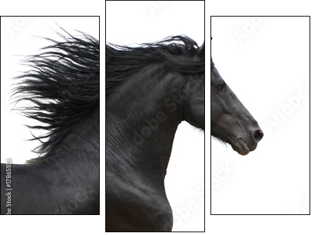 Koń w galopie – inspirująca pogoń za sukcesem
 - Obraz trzyczęściowy, Tryptyk