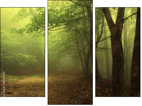 Leśna mgła – poranek w zielonym gaju
 - Obraz trzyczęściowy, Tryptyk