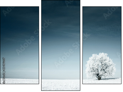 Zimowa łąka – chłodna elegancja
 - Obraz trzyczęściowy, Tryptyk