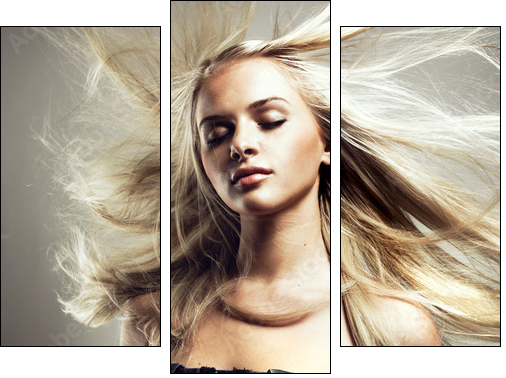 Beautiful woman with magnificent hair  - Obraz trzyczęściowy, Tryptyk