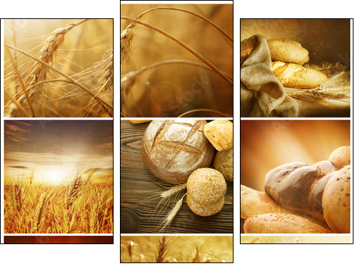 Ziarna zbóż – sielski collage
 - Obraz trzyczęściowy, Tryptyk