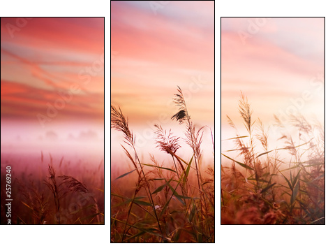Łany zbóż – mglisty poranek na wsi
 - Obraz trzyczęściowy, Tryptyk