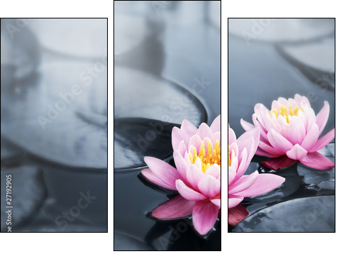 Kwiaty lotosu – orient podkreślony ekspresem
 - Obraz trzyczęściowy, Tryptyk