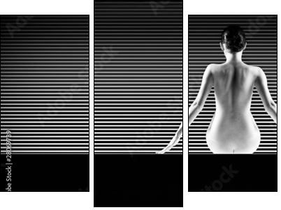 black and white artistic nude; a back silhouette shot on striped  - Obraz trzyczęściowy, Tryptyk