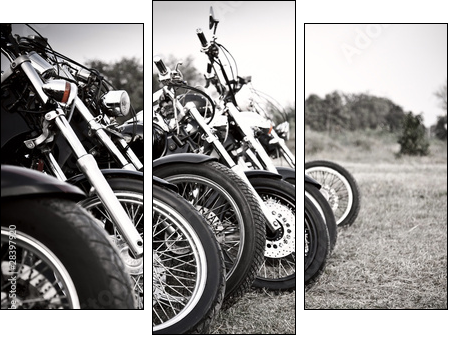 Bikes  - Obraz trzyczęściowy, Tryptyk
