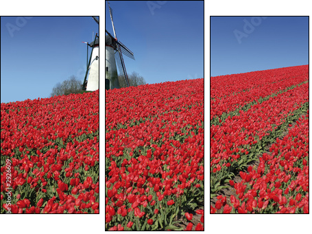 Esencja Holandii – wiatrak i tulipany
 - Obraz trzyczęściowy, Tryptyk