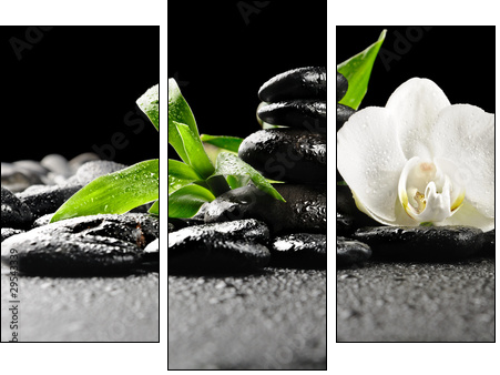 Spa concept  - Obraz trzyczęściowy, Tryptyk