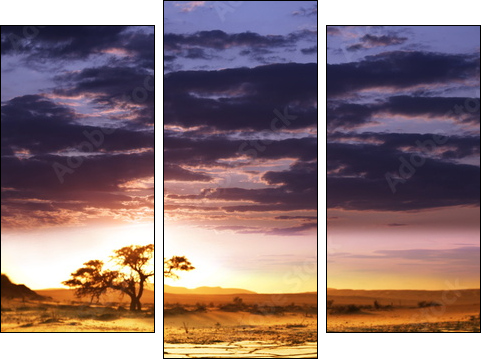 Namibia – afrykański raj
 - Obraz trzyczęściowy, Tryptyk
