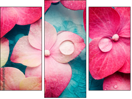 Odświeżające kwiaty – wellness & spa
 - Obraz trzyczęściowy, Tryptyk