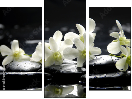 Zen stones and pink orchids with reflection  - Obraz trzyczęściowy, Tryptyk